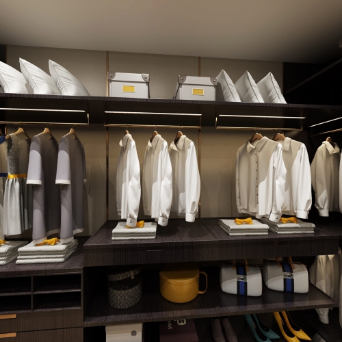 Modern Clothes Storage Area-ID:342519359