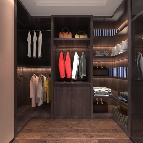 Modern Clothes Storage Area-ID:173209155