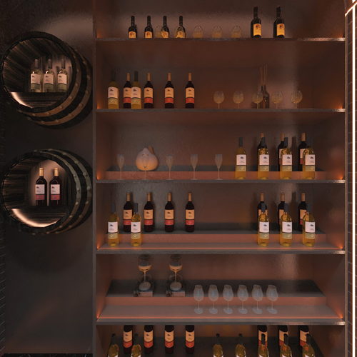 Modern Wine Cellar/Wine Tasting Room-ID:982064965