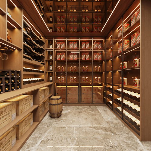 Modern Wine Cellar/Wine Tasting Room-ID:686423062