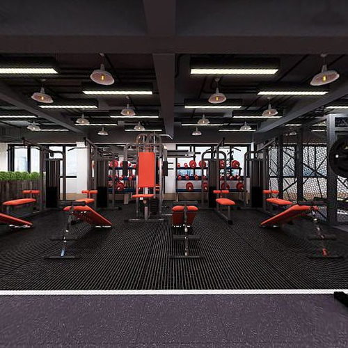 Modern Gym-ID:436005128
