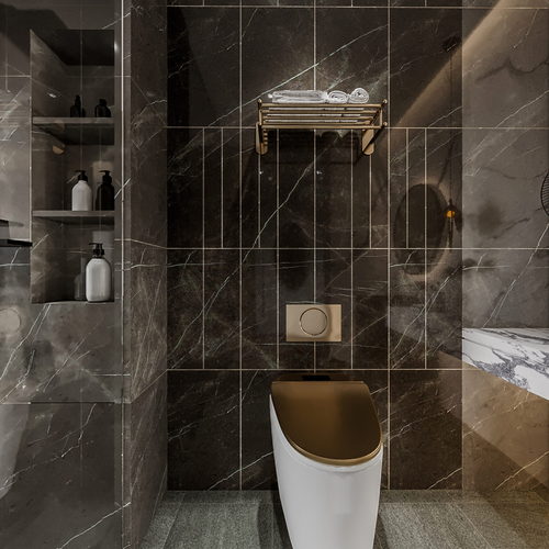 Modern TOILET-ID:419650111