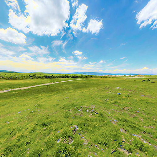 Modern Landscape-ID:256742953