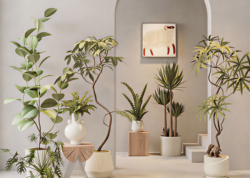现代落地绿植盆栽组合-2826162